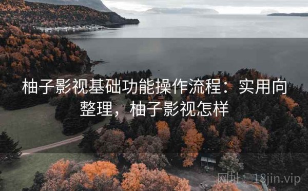 柚子影视基础功能操作流程：实用向整理，柚子影视怎样