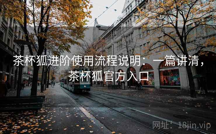 茶杯狐进阶使用流程说明：一篇讲清，茶杯狐官方入口